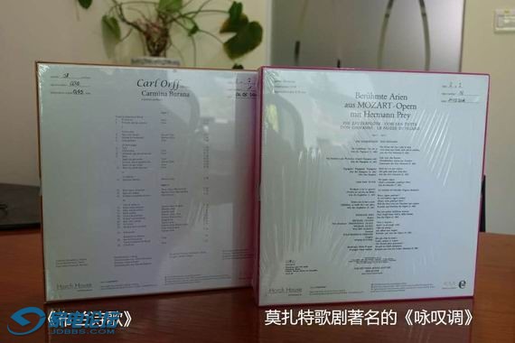 ������С IMG_0585.JPG