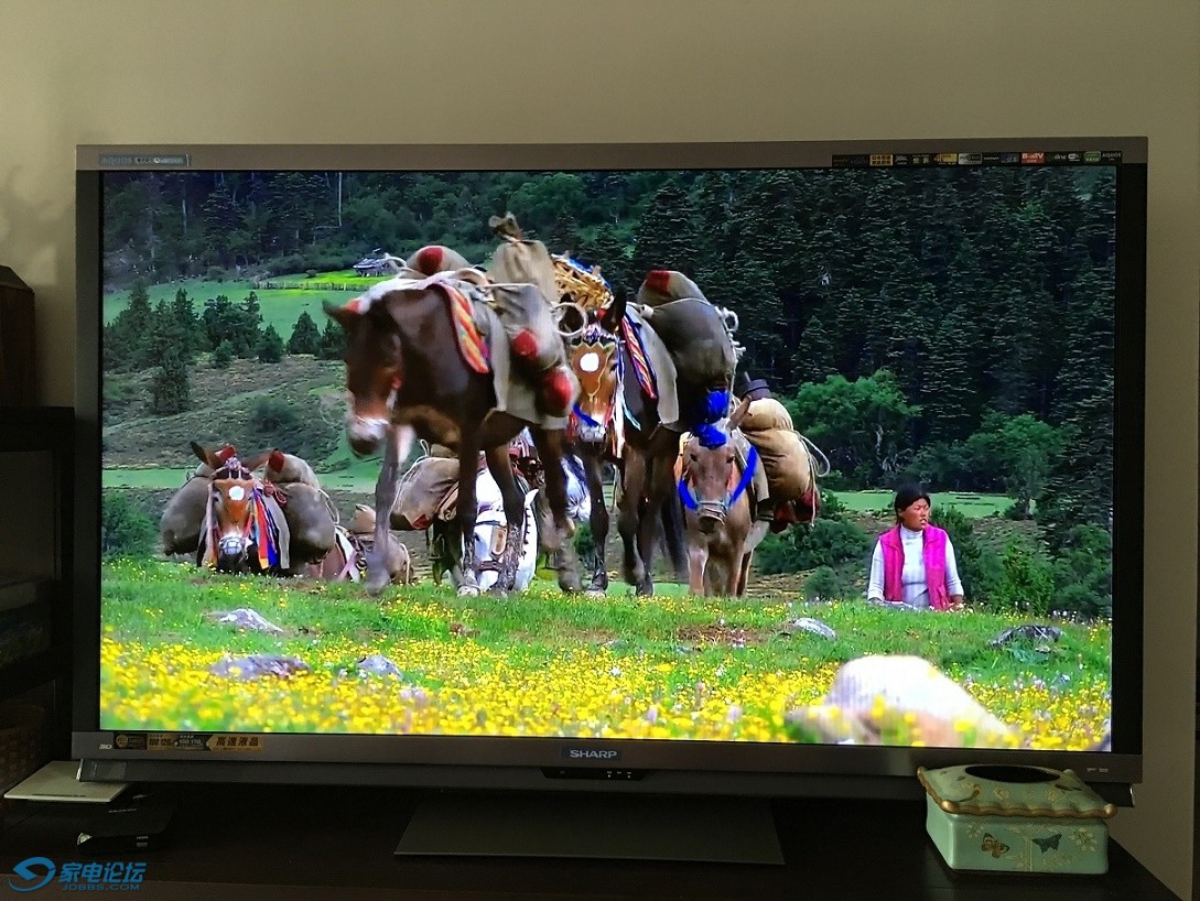 �����ʵ�