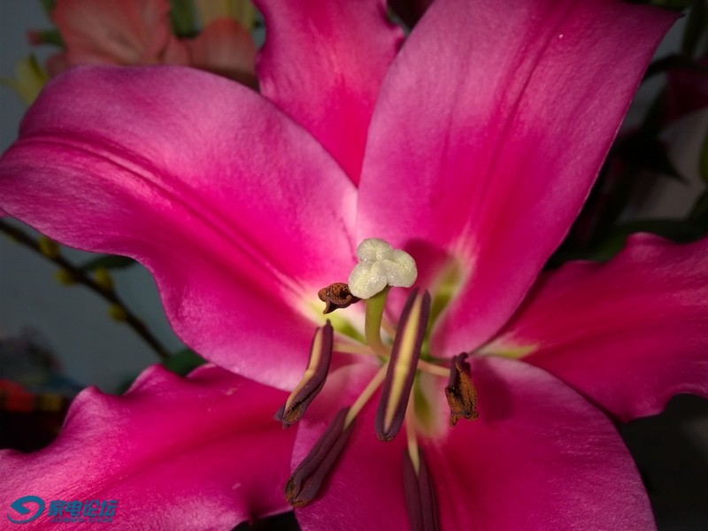 WP_20150222_11_23_02_Pro.jpg