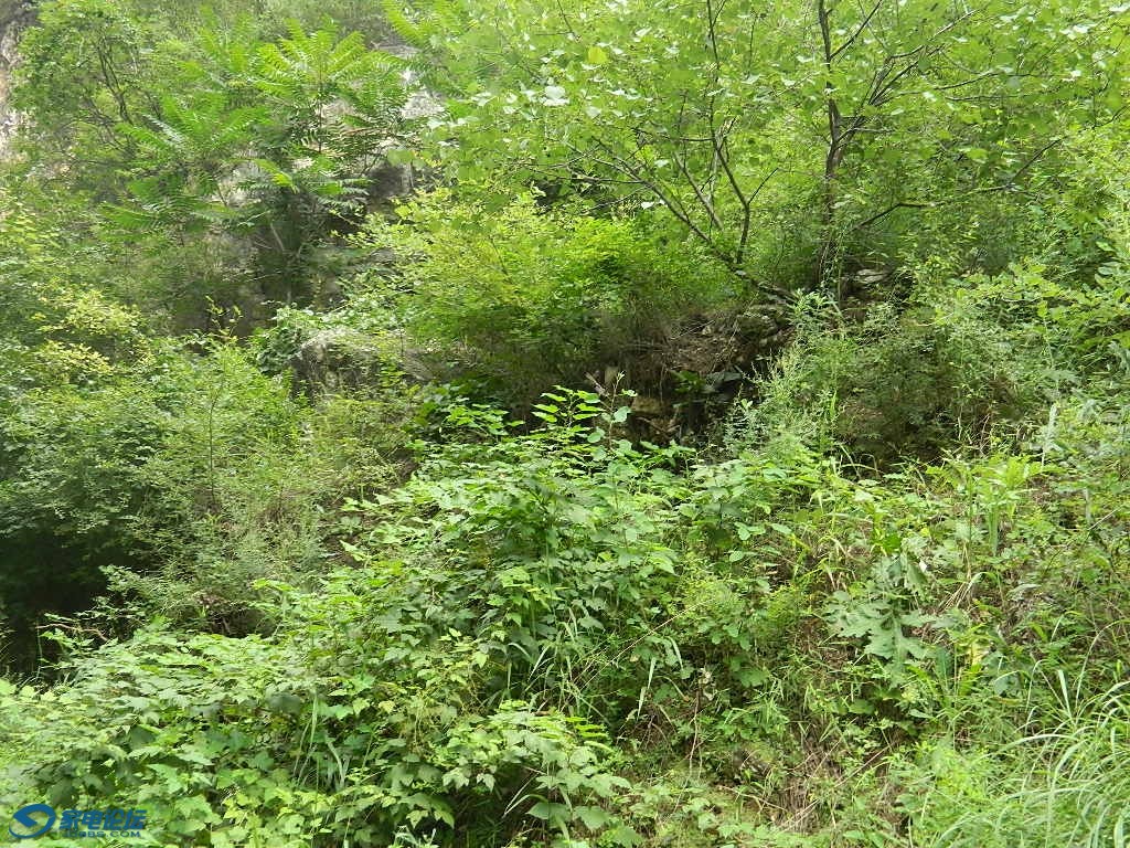 DSCN6750.JPG