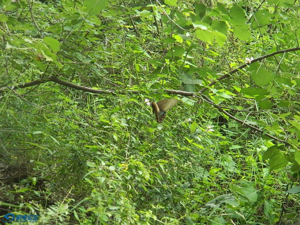 DSCN6751.JPG