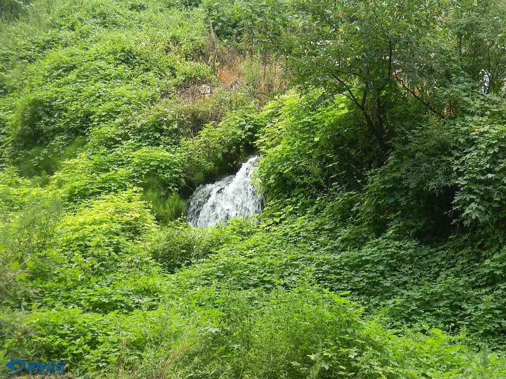 DSCN6757.JPG