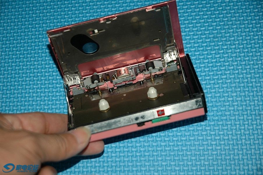 DSC_8102.JPG