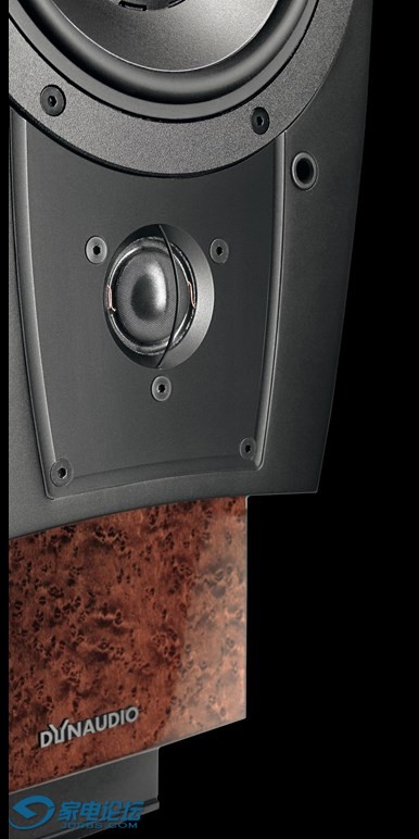 dyn_c1platinum_detail_s.jpg
