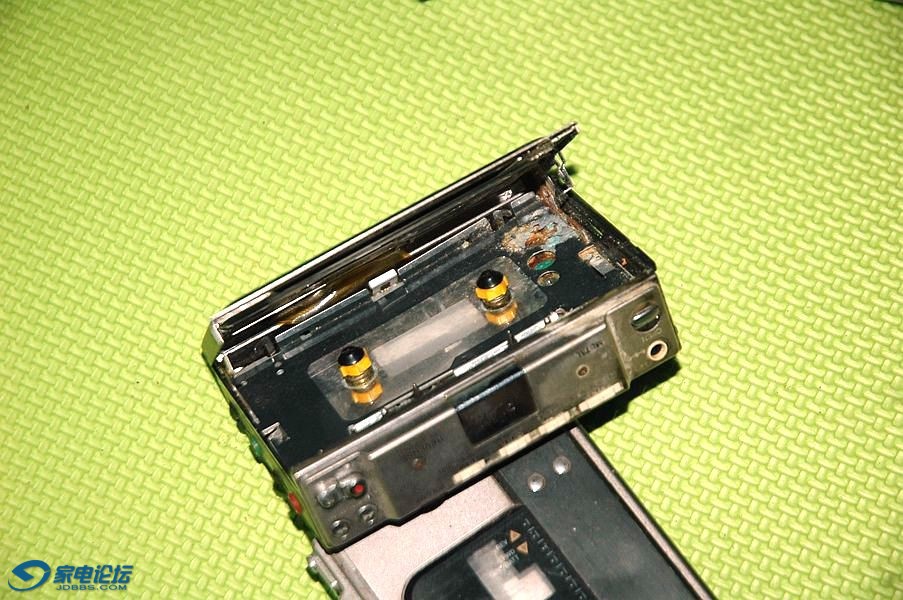 DSC_8132.JPG