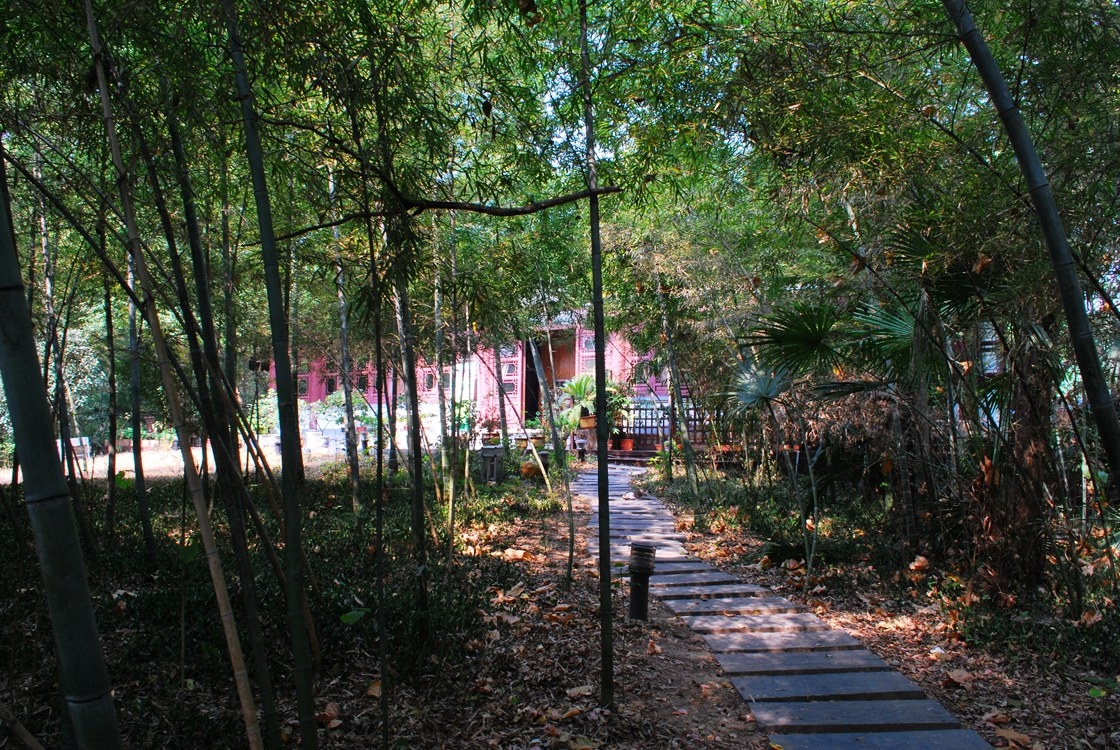 DSC_5373.JPG