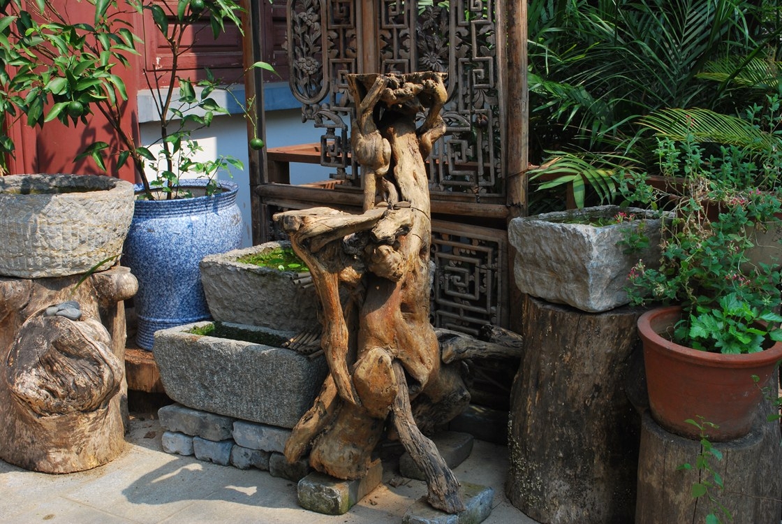 DSC_5397.JPG