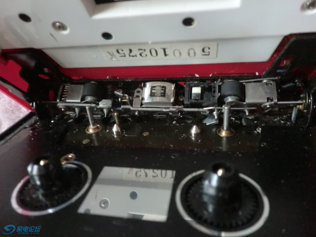 CIMG6733.JPG