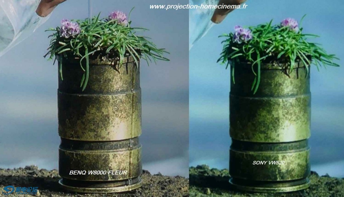 comparo-zoom-fleur-sony-benQ.jpg