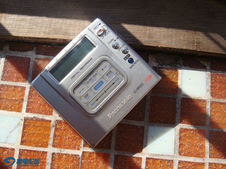DSC09767.JPG