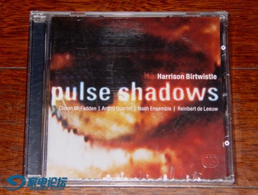 birtwistle pulse shadows.jpg