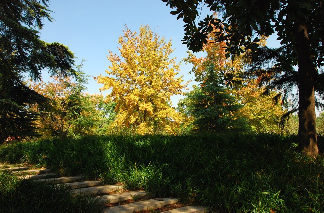 DSC_2790.JPG