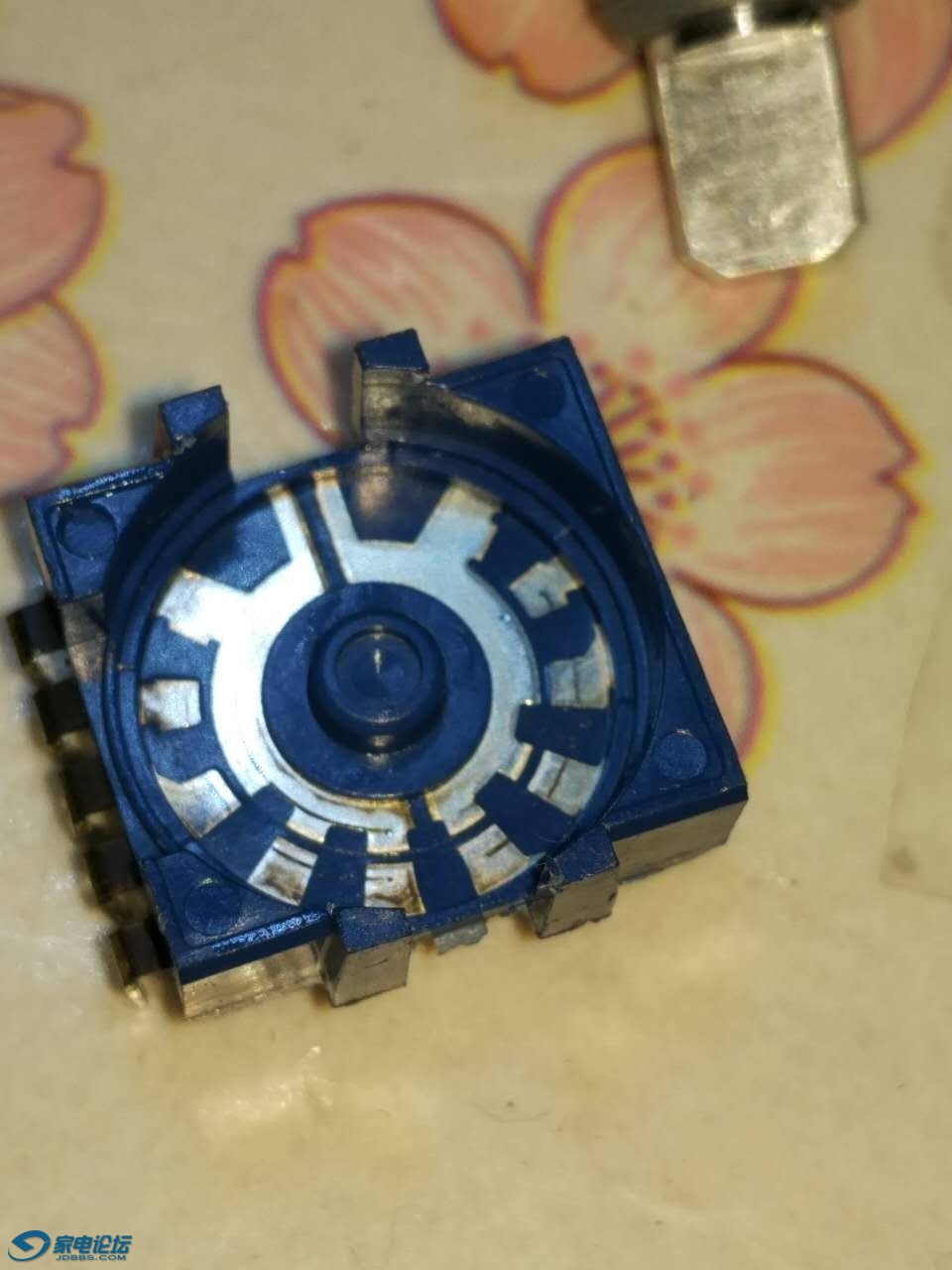 139965812036197925.jpg