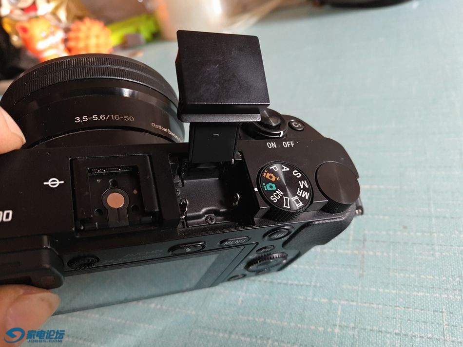 P61127-095637.jpg
