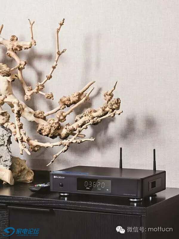 ������Q10PLUS