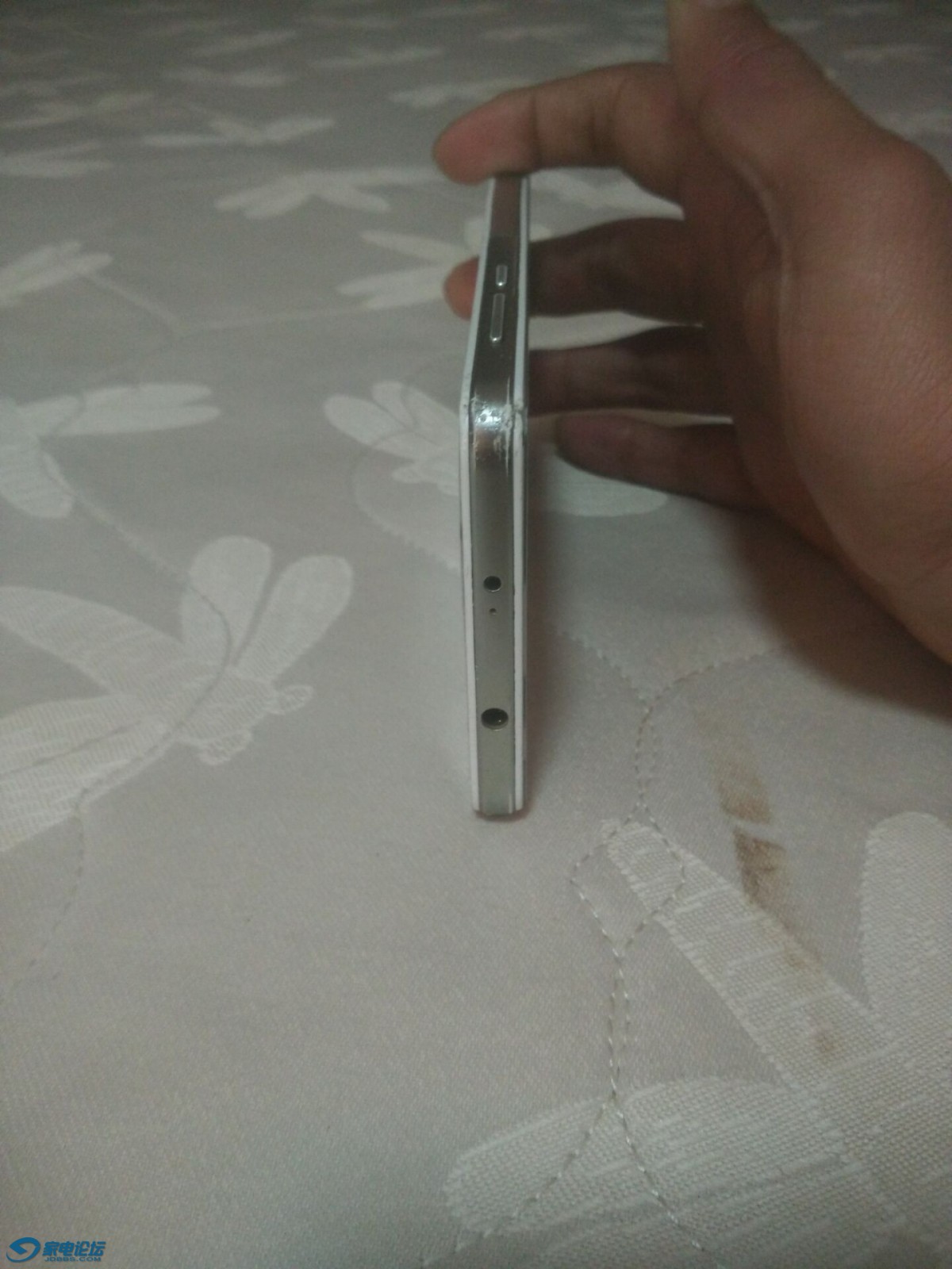 64.jpg