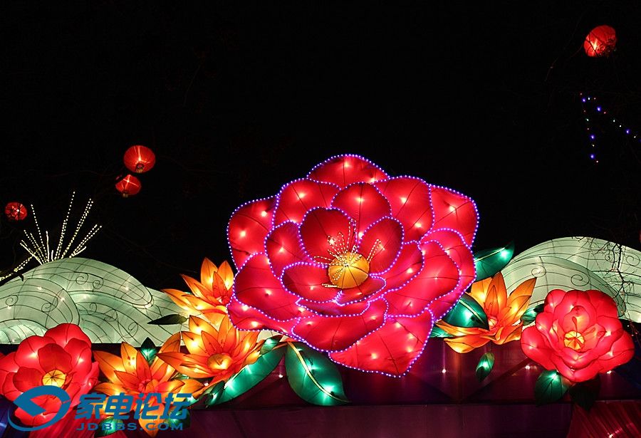 ��Ƭ 5339_����.jpg