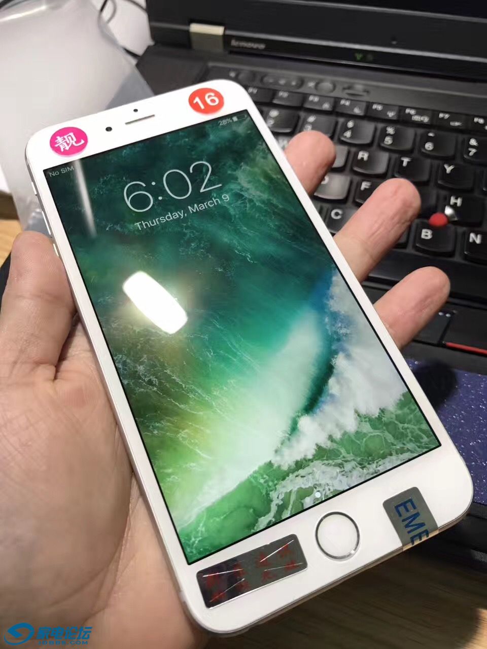 109711299123249057.jpg