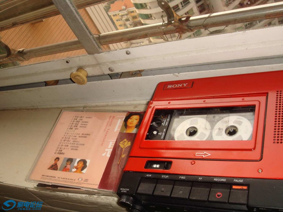 ���� DSC00113.JPG