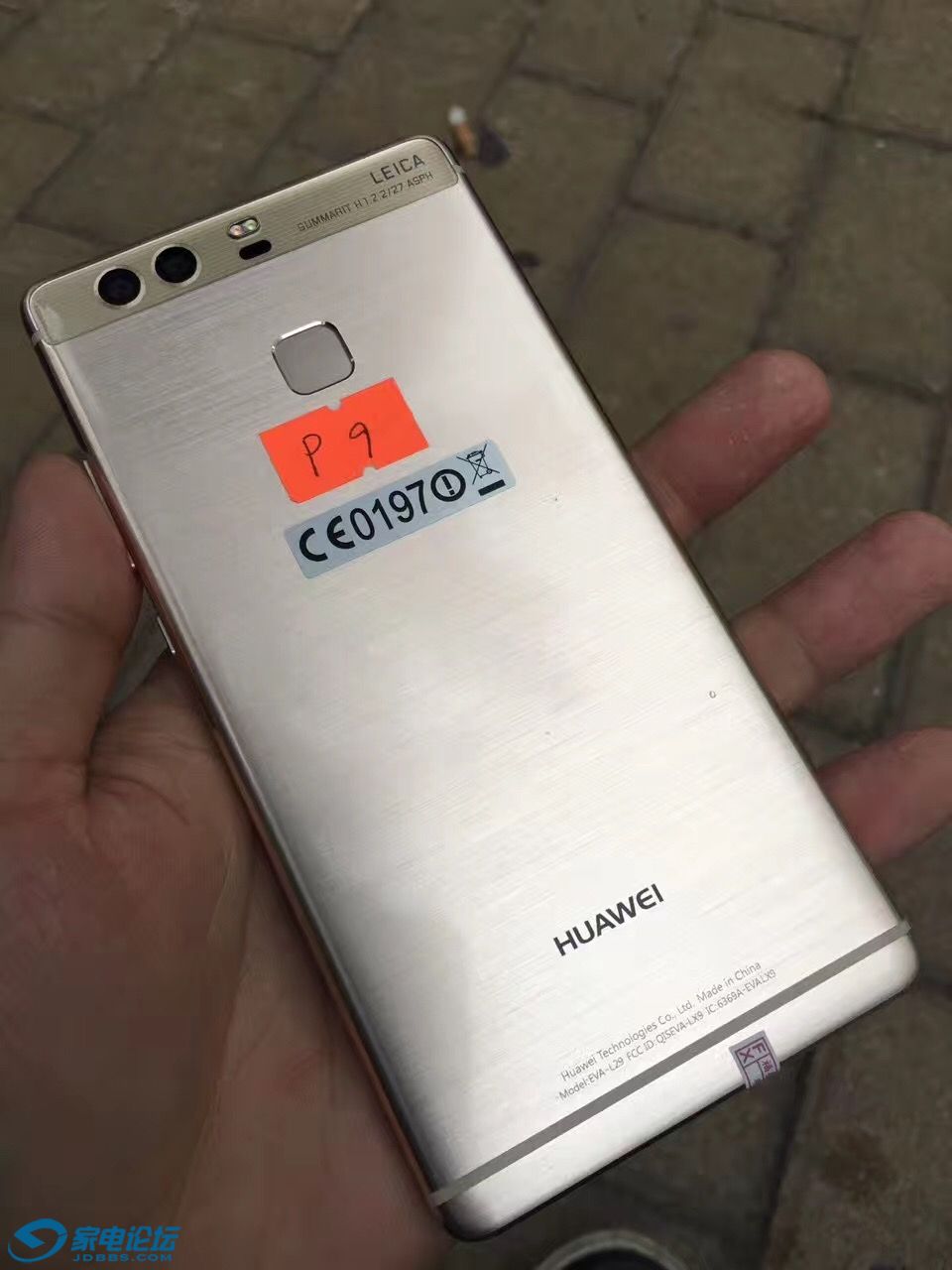 493383624024236895.jpg