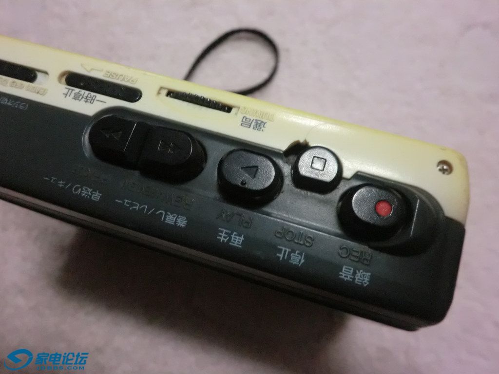 CIMG8350.JPG
