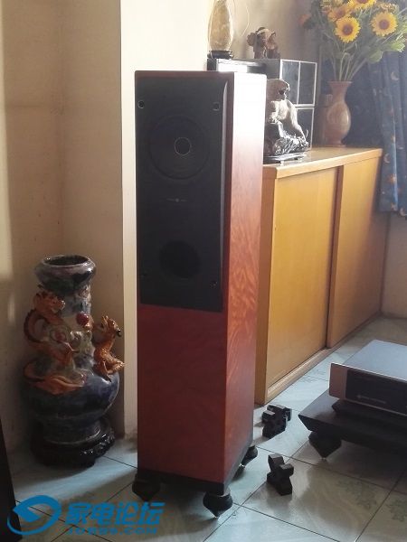 ���ƽŶ���������