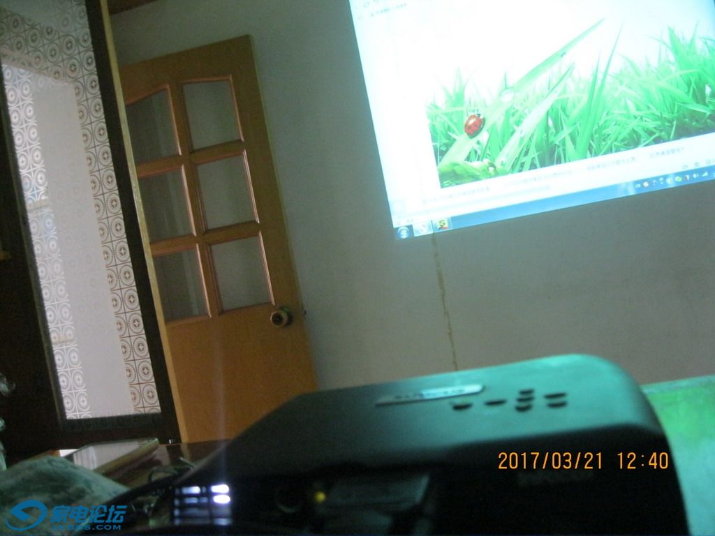 IMG_2032.jpg