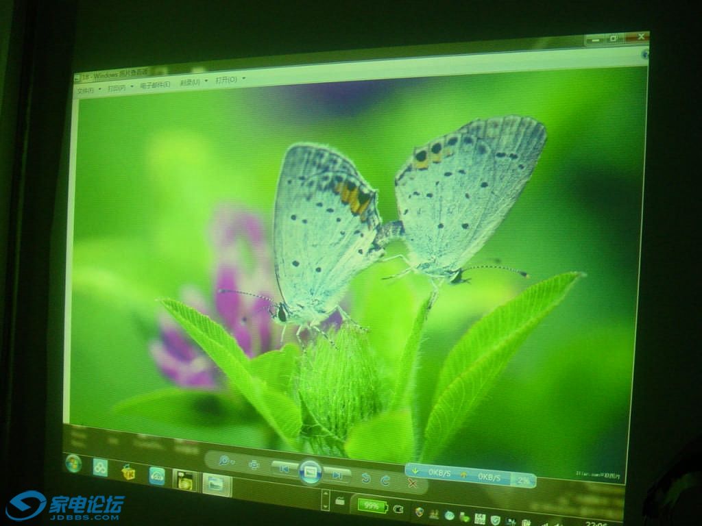DSC09674.jpg