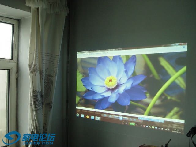 DSC09825.jpg