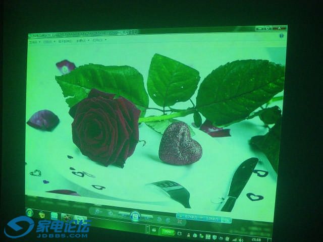DSC09827.jpg