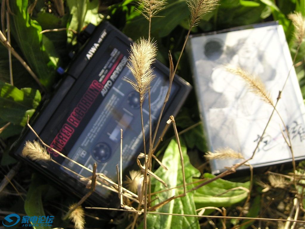 P1010101.JPG