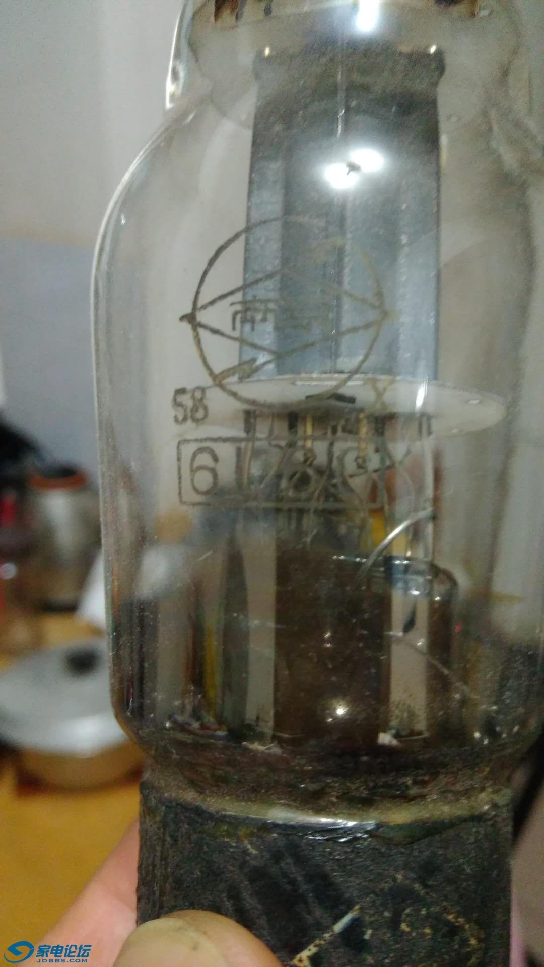 227302086685360210.jpg