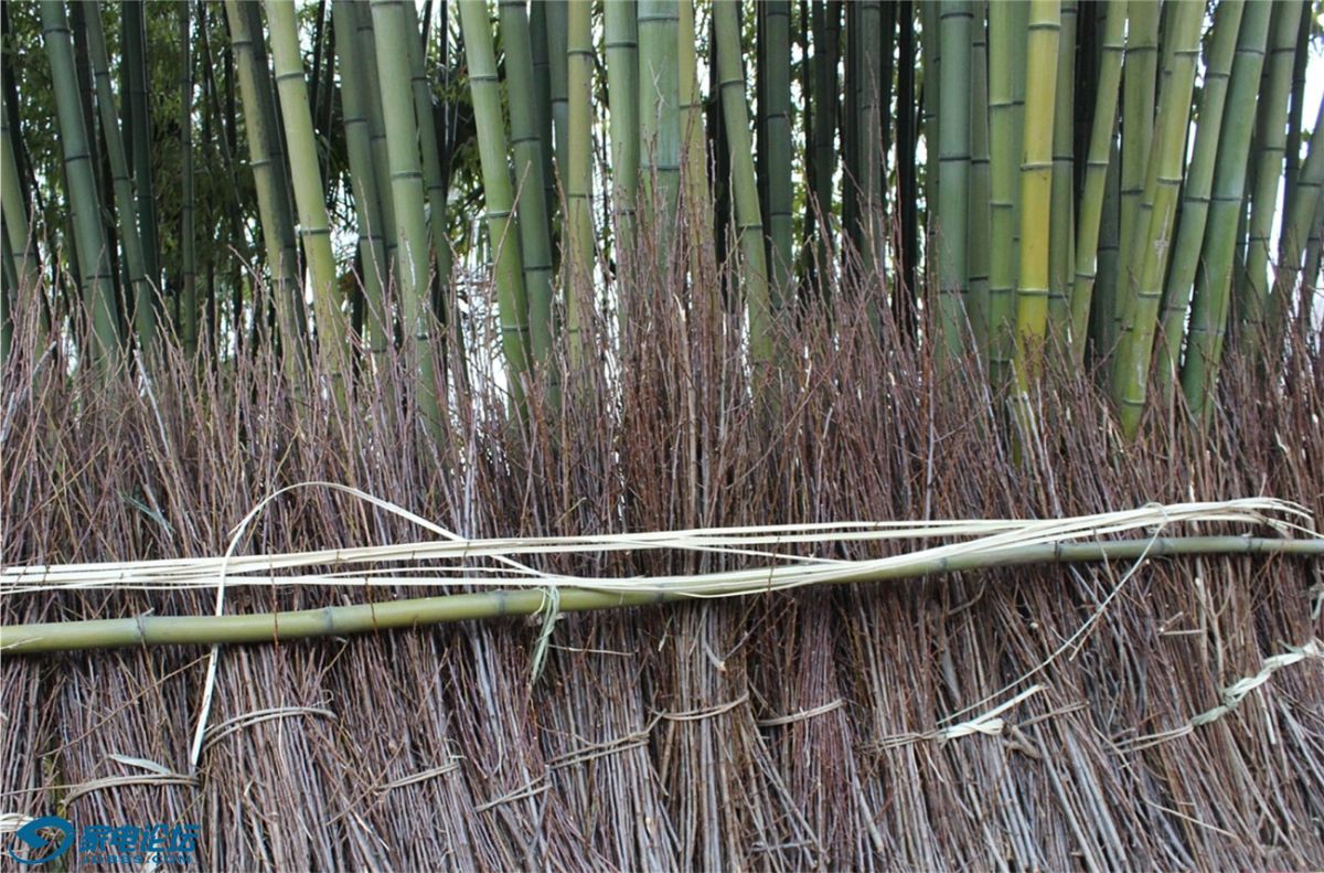 ��Ƭ 4319_����.jpg