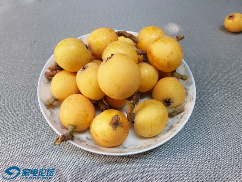 P1070298.JPG