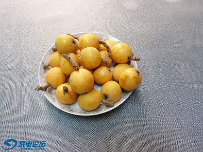 P1070303.JPG
