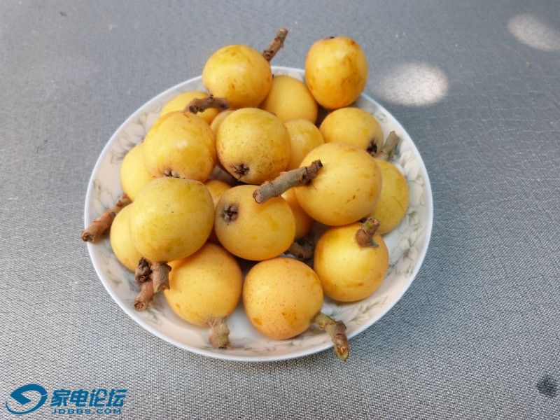 P1070302.JPG