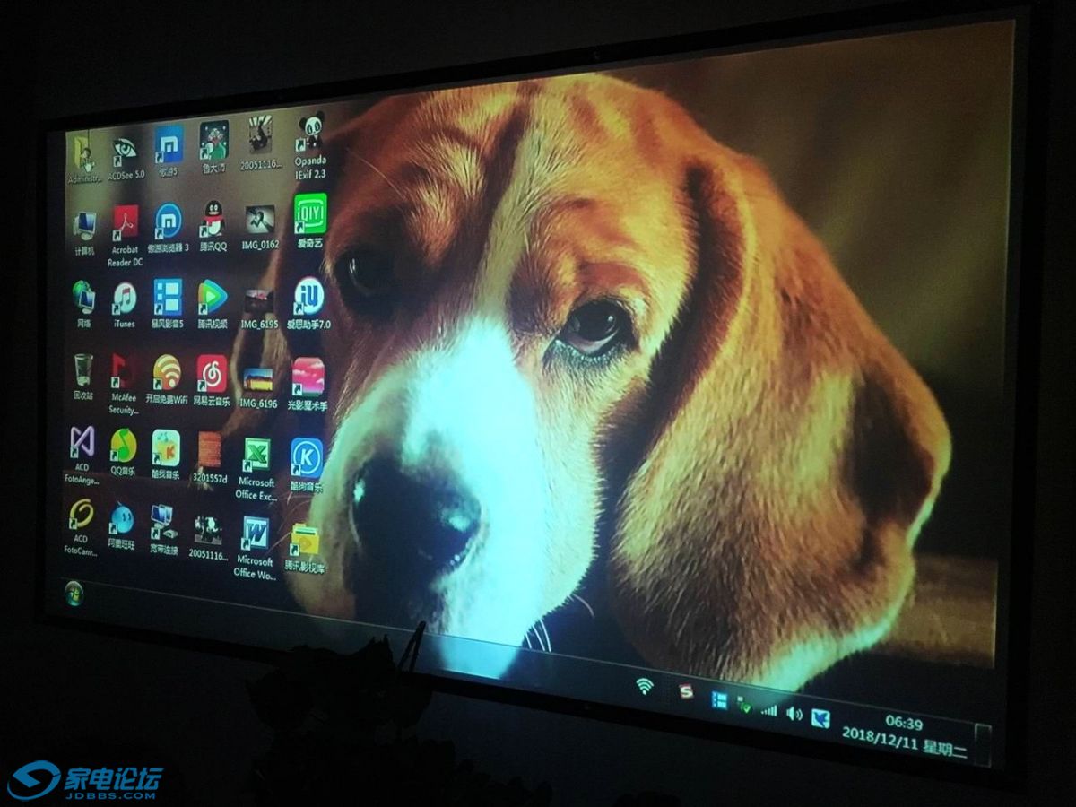 ������С IMG_2902.JPG