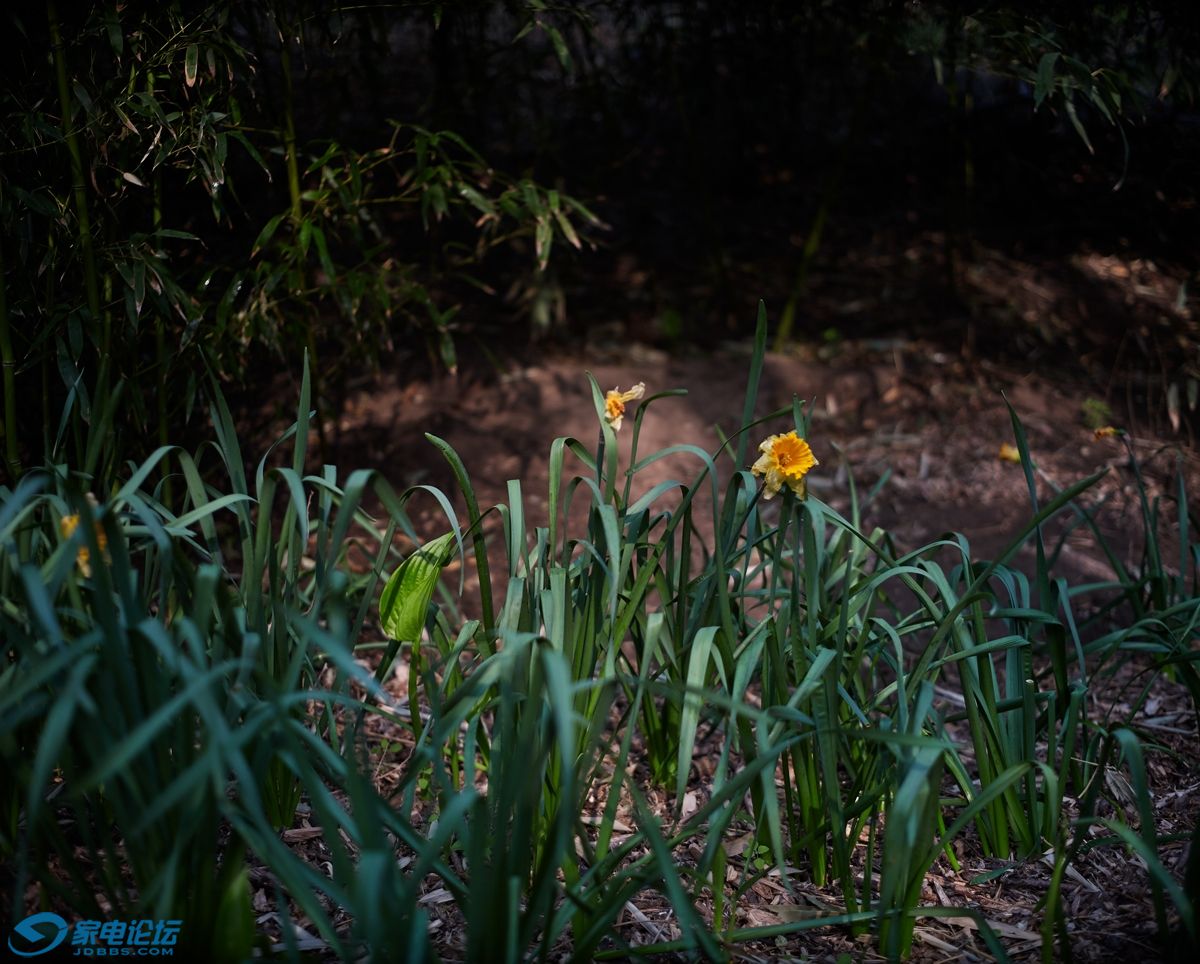 CF024201-2.jpg