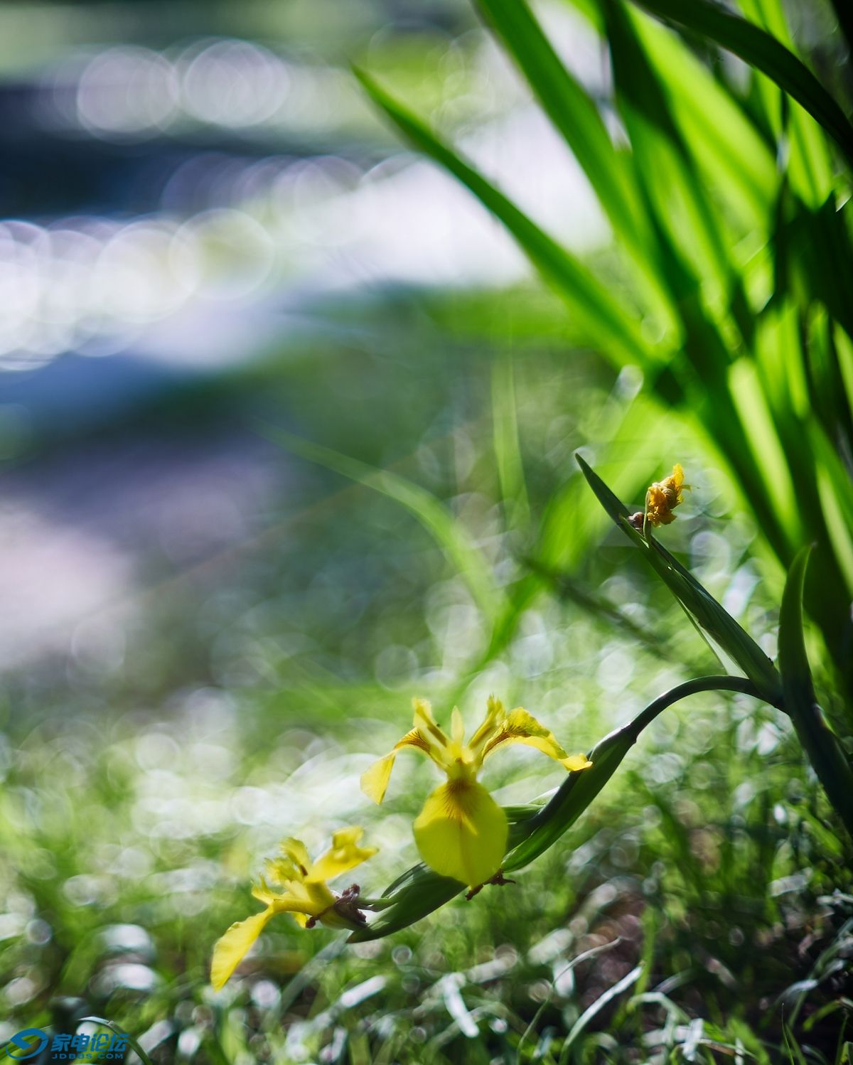 CF025903-2-3.jpg