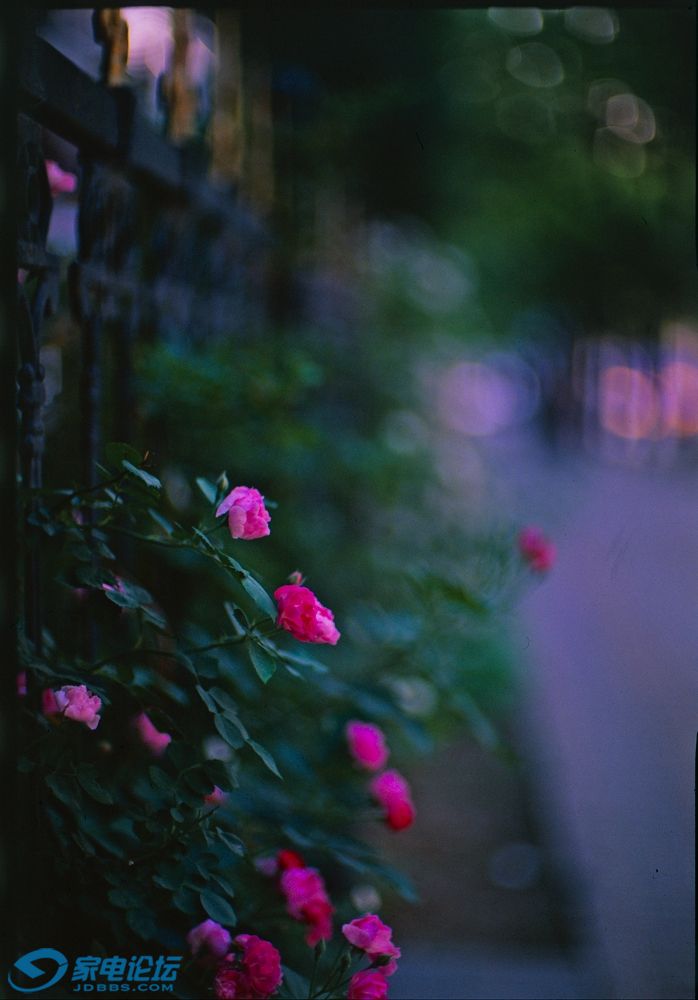 Untitled-(280)-2.jpg
