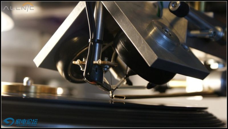 mc rose_����.jpg