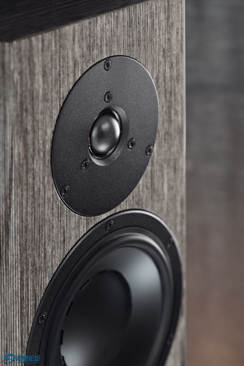 dynaudio special forty - grey birch high gloss - close-up.jpg