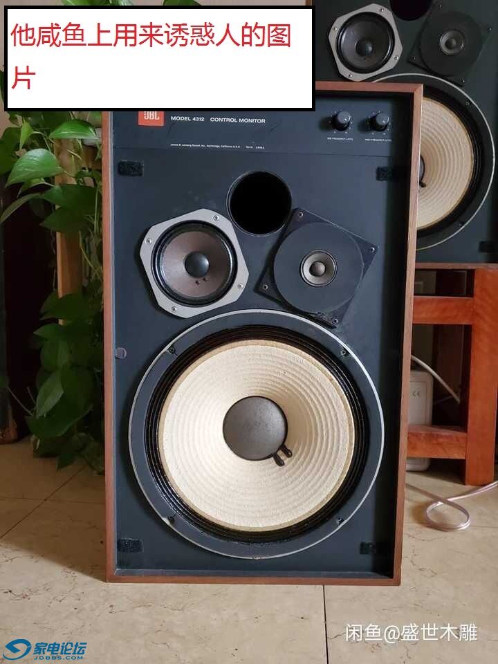 1314992917.jpg