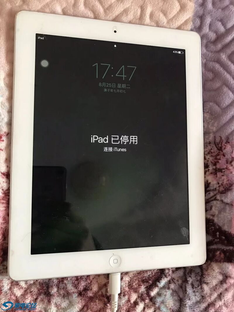 01]IPAD 4 (1).jpg