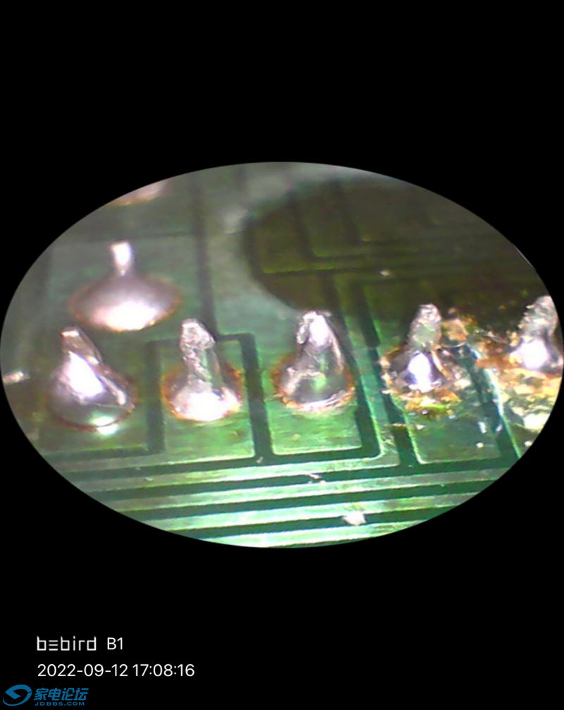 IMG_2659.PNG