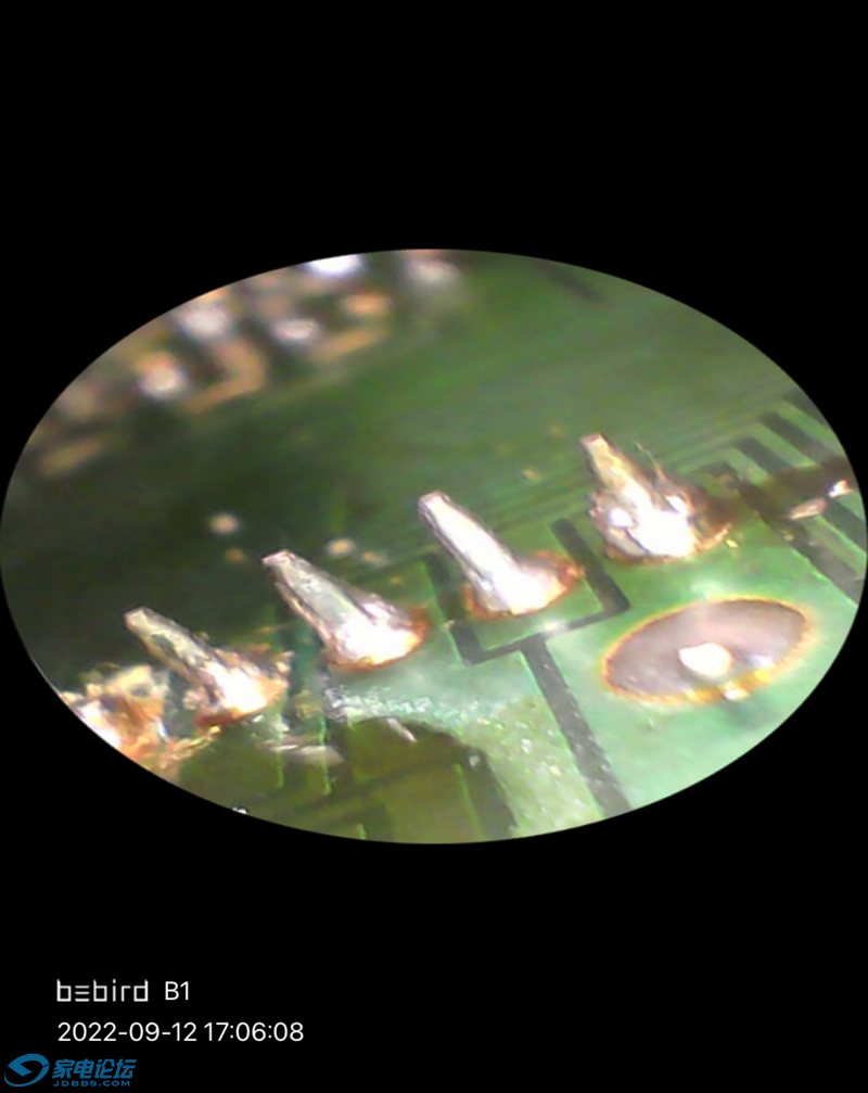 IMG_2664.PNG
