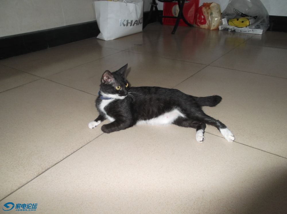 DSCF3978.JPG