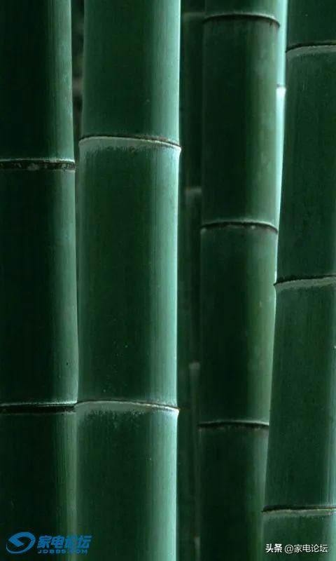 20f682f555804fff912b9c47b745e9af~noop.image?_iz=58558&from=article.jpg