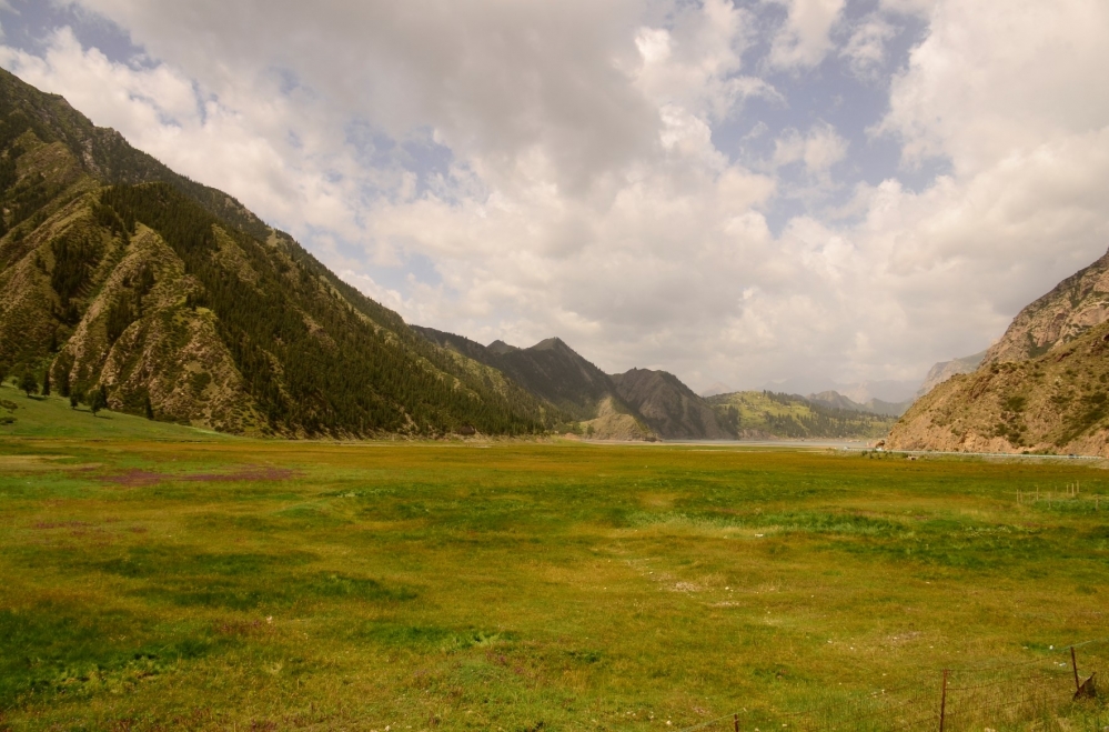 _DSC3943.JPG