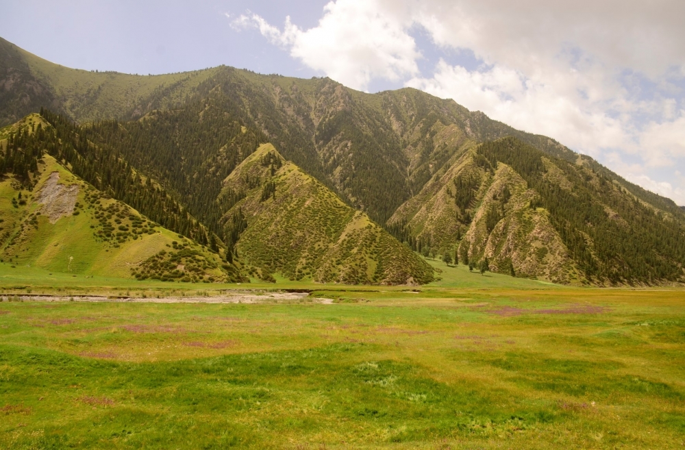 _DSC3944.JPG
